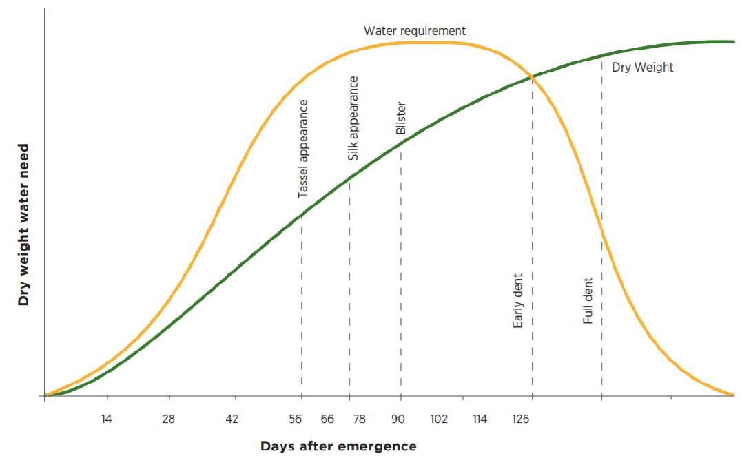 FIGURE 1: Water requirements of maize (dry weight gain) taken from Pioneer Seeds Corn Growers Guide.