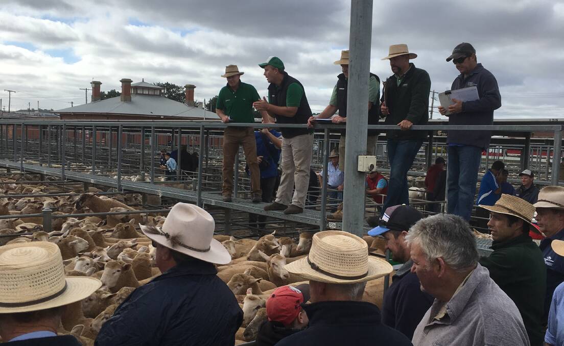 An Australian price record of $256 was set at Ballarat on Tuesday, paid for 105 Poll Dorset-White Suffolk second cross lambs, 36kg cwt, offered by Golden Grove, Newlyn, Vic.