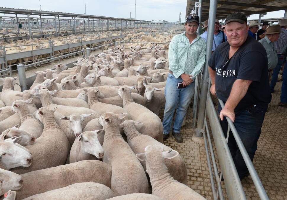 Gerard & Partners, Agent, Stephen Tomlinson, Young and Bill Tomlinson, "Rosehill", Trundle pictured with a pen of second cross heavy prime lambs which sold for $166/hd at Forbes sheep sale. 