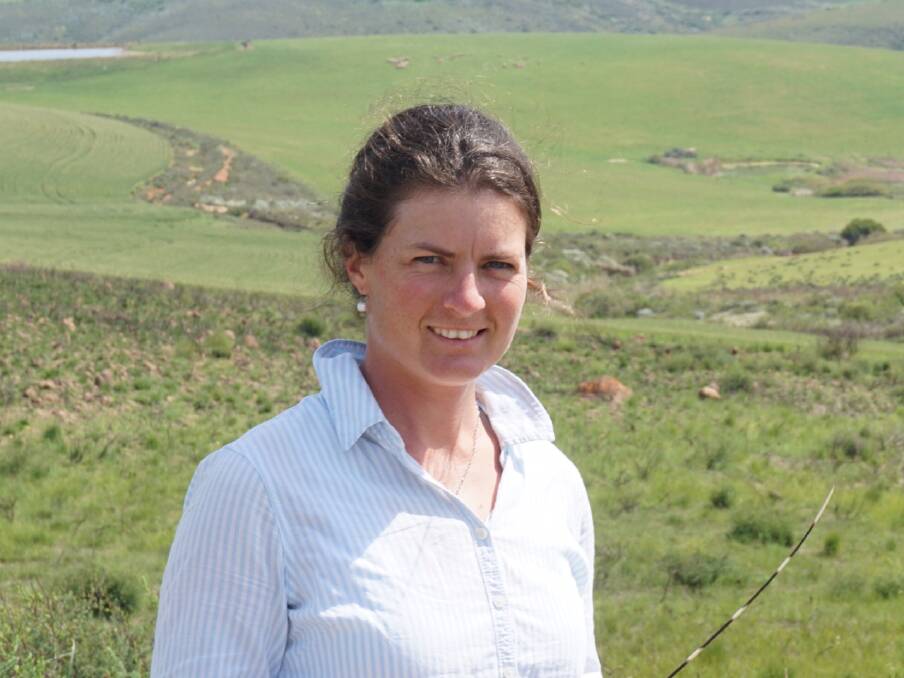 2014 Nuffield Australia Farming Scholar, Hannah Marriott, use of EID has led to the breeding of more fertile sheep, as well as reduced the penalties of out-of-specification carcases.