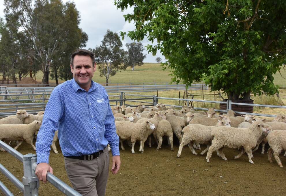 MLA managing director Richard Norton says Australia must remain committed to improving best practice animal welfare standards to help secure global trade deals.  