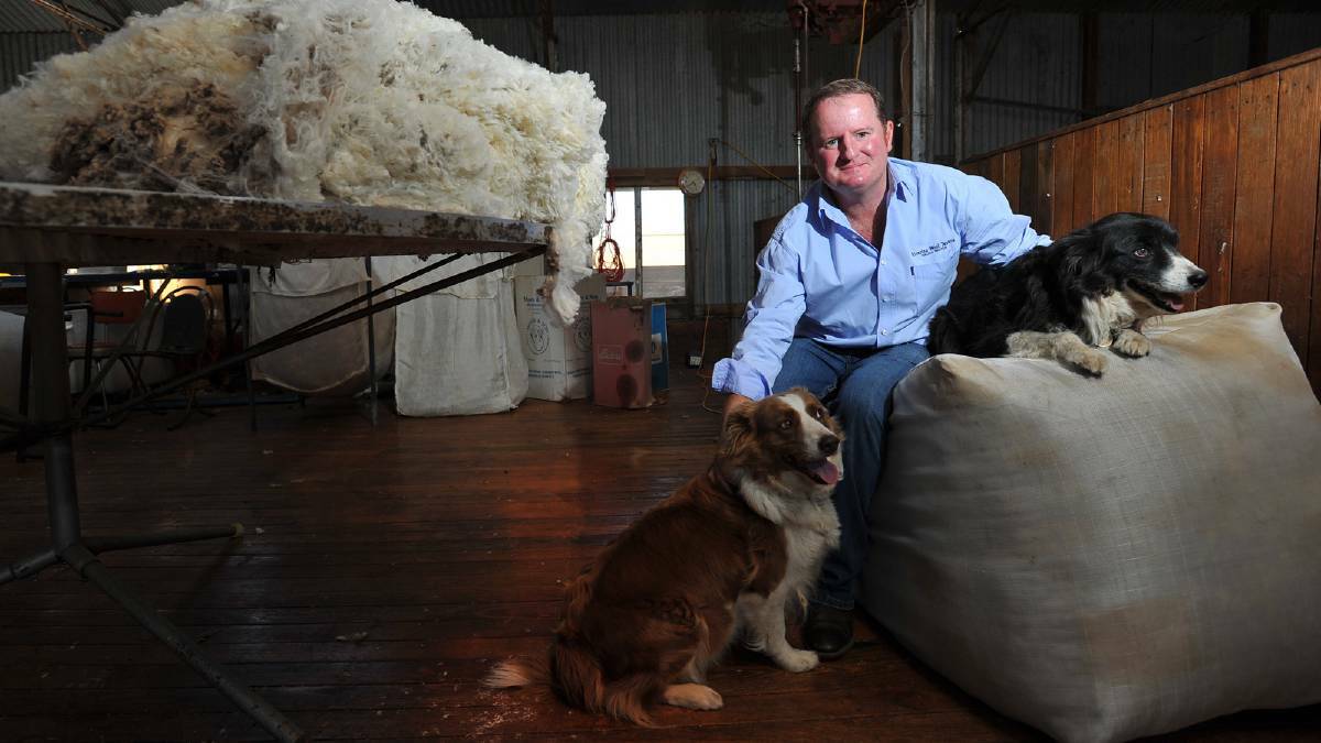 Paul Cocking, "Winton", Mangoplah, pictured with his dogs Milo and Micron, has been elected to the Australian Wool Innovation board. Picture: Addison Hamilton