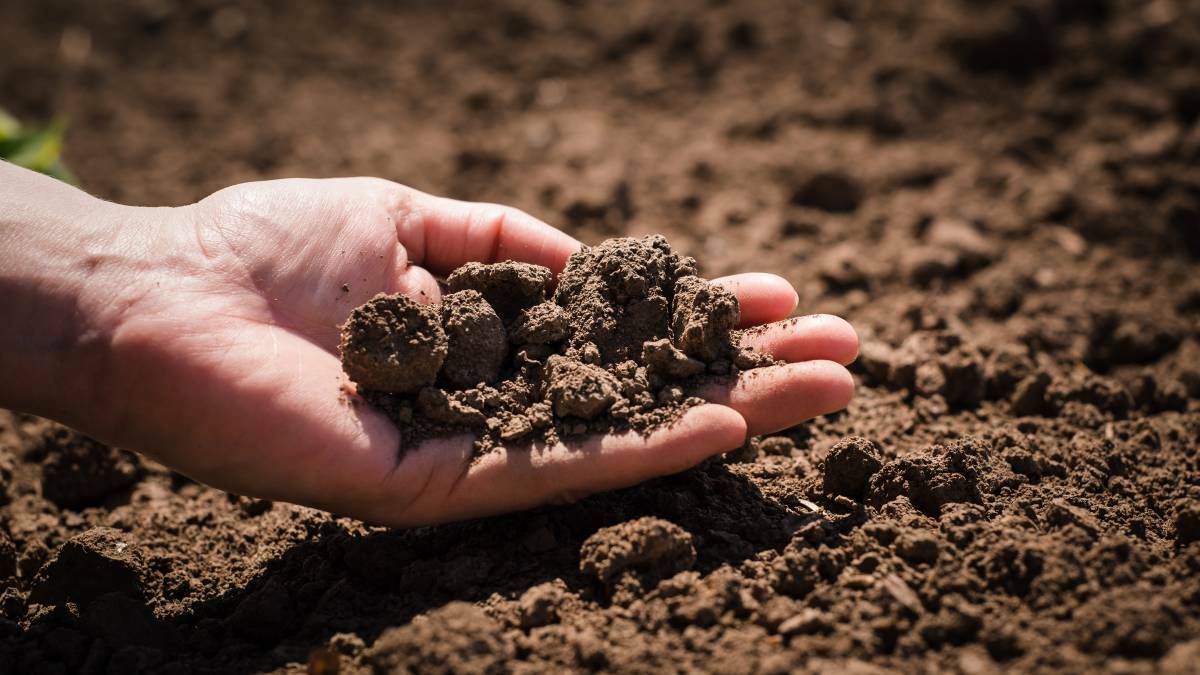 Fund to build drought resilience and soil carbon