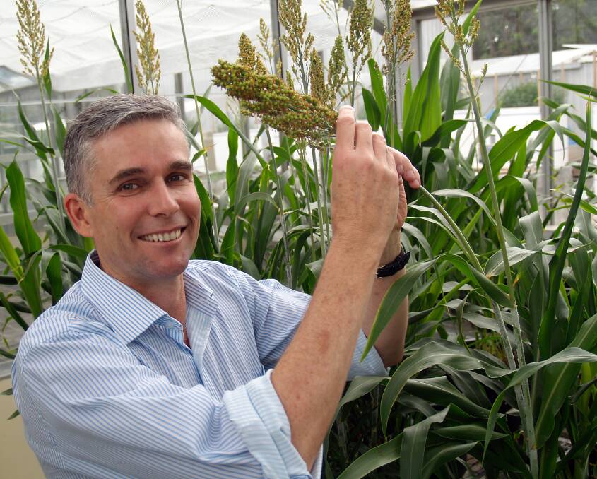 Ian Godwin is the Director of the Centre for Crop Science at QAAFI at the University of Queensland. 