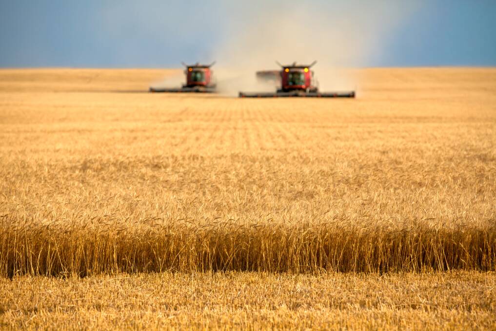 Variable weather is wreaking havoc on grain crops in other parts of the works, with drought and scorching heat in parts of North America slashing grain estimates. 
