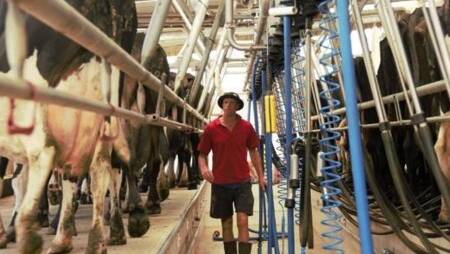 Online milk pricing tool launched