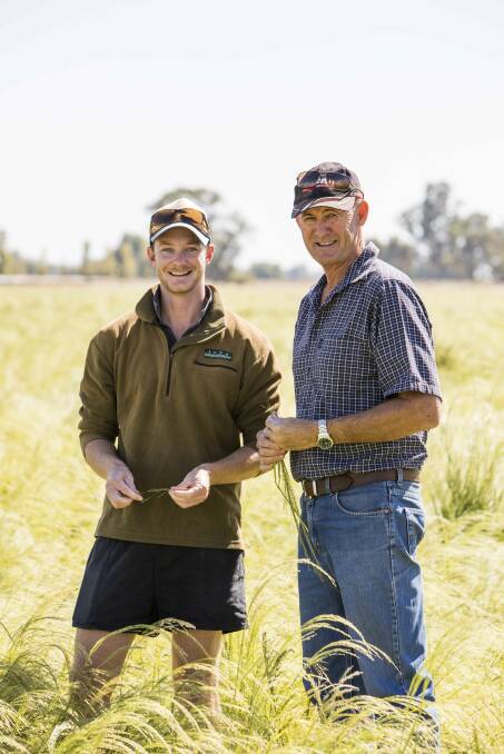 Farmers under pressure to produce more from less | Farm | Australia