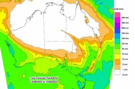 Total forecast rainfall across Australia from August 12 to August 19. Source BOM 