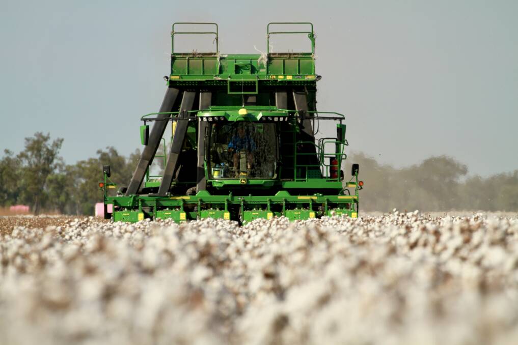 Cotton Australia is forecasting a crop around 5.2 million bales for 2023 and say picking conditions are good across most regions. Photo Sally Rigney 