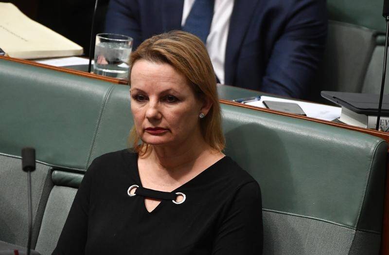 Liberal MP Sussan Ley 