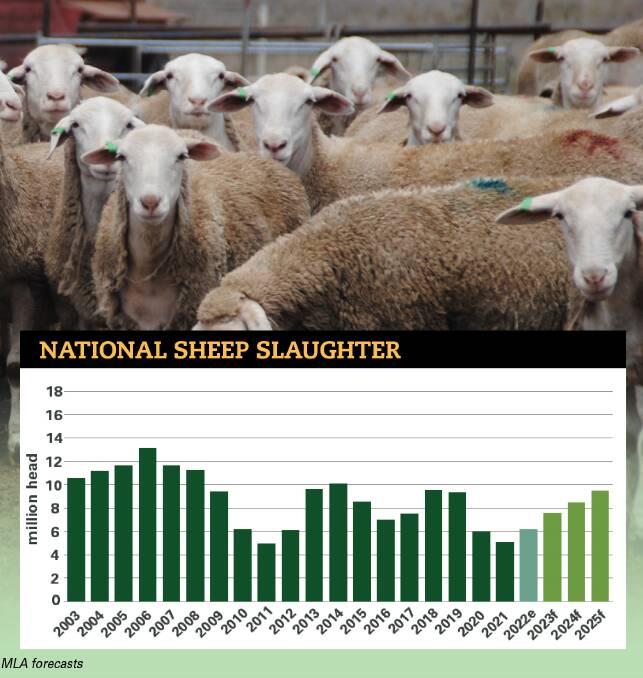 Aussie sheep flock set to break 15 year record