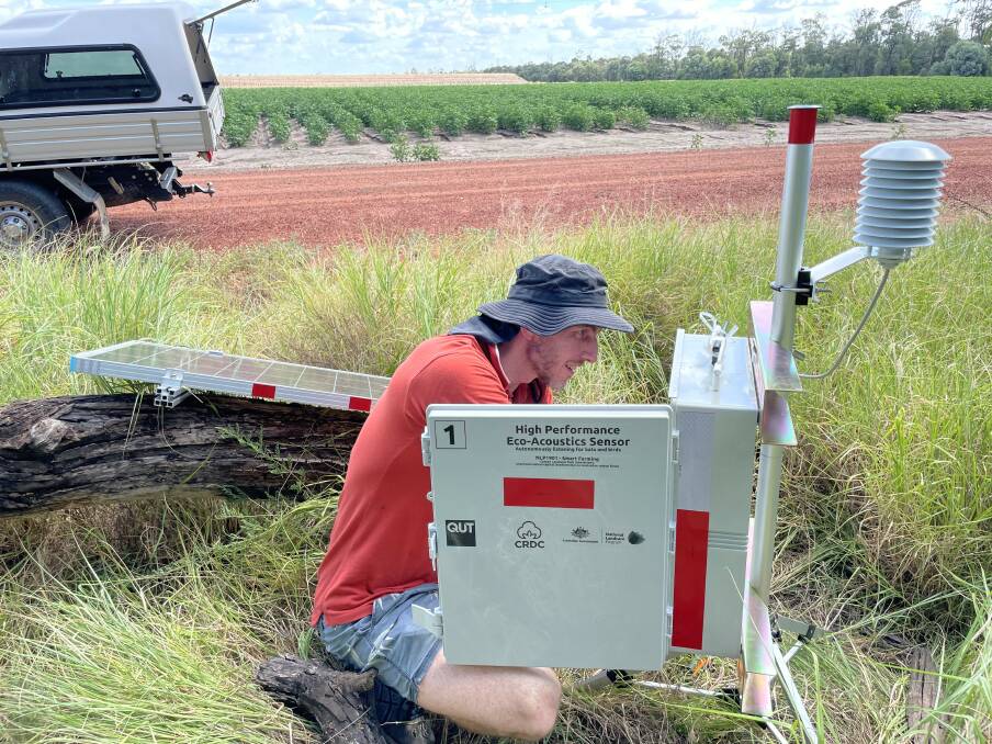 Queensland University of Technology researcher Dr Philip Eichinski sets up an acoustic sensor near a cotton crop at St George, Queensland.