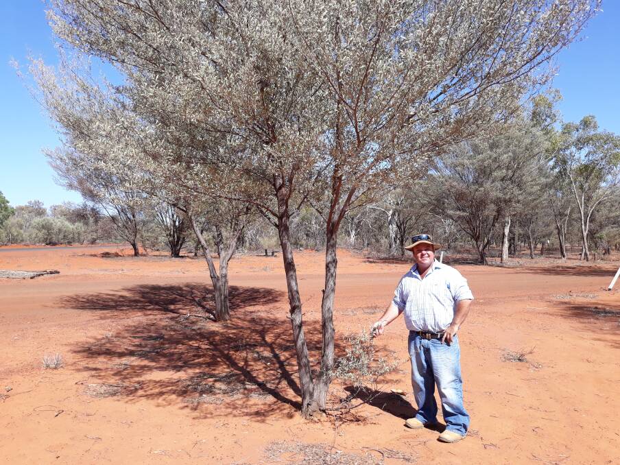 Evening Star Tourist Park owner Craig Alison was honoured with the South West NRM 2016 Mulga Awards tourism award for natural resource management. 