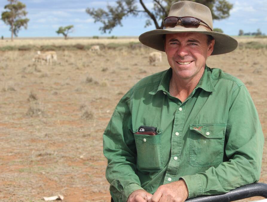 Diversification: Phillip Coggan said meat sheep had become an important part of their busy mixed farming business. He's now desigining a new, undercover sheep feedlot. 