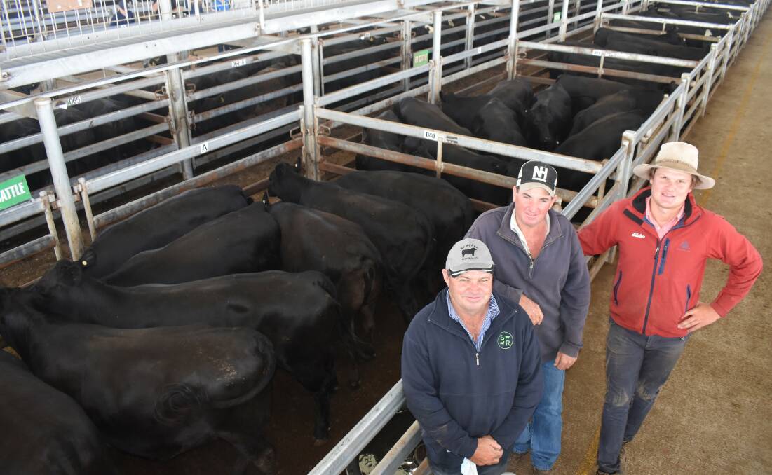 Day 2: Major vendor at the Mortlake feature female sale Stuart Hann, Nampara, Lucindale, SA (centre) flanked by agents Jamie Bellinger, Bellinger Rural, Schubert Falls, and Ben Gregory, Elders Naracoorte, SA, with some of the 236 PTIC weaners that sold to $4000.
