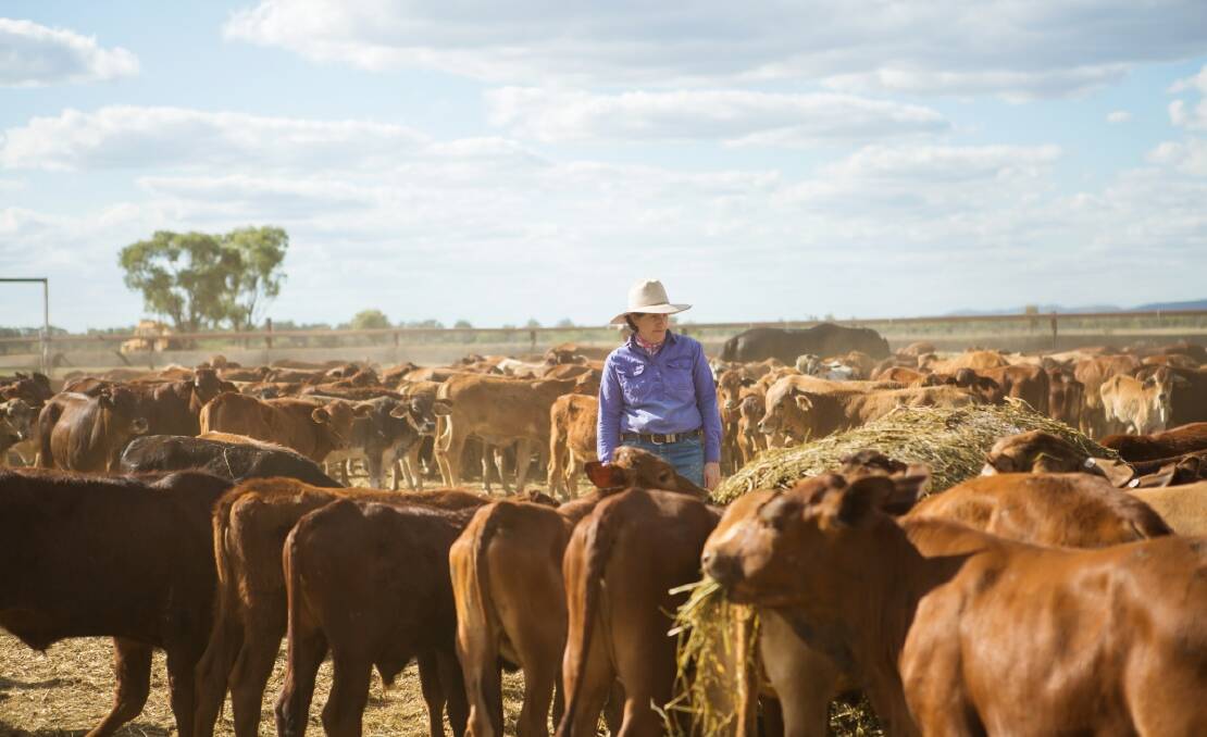 View from the paddock: Charters Towers beef producer, Emma Robinson.