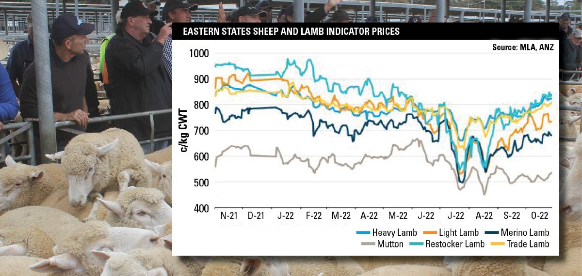 Resilience carries 2022 sheepmeat market