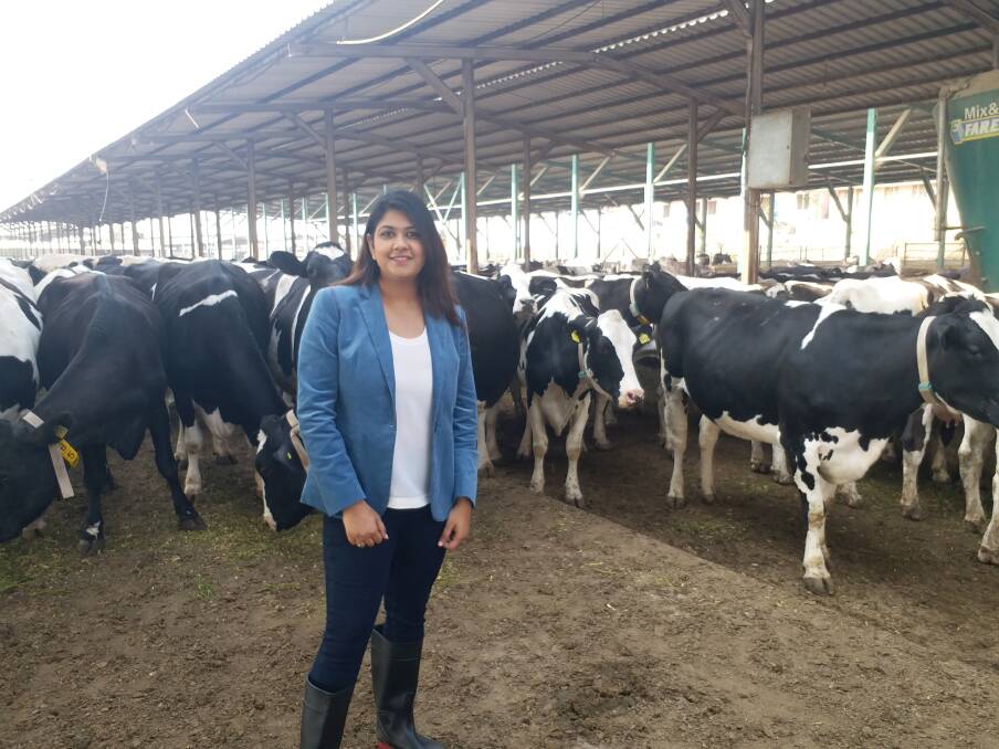 Parag Milk Foods strategy sales and marketing vice president Akshali Shah has the most pampered dairy herd in India. Photo: Parag Milk Foods