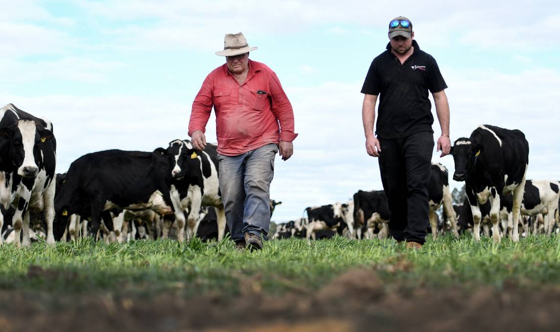 PLOWING ON: Wes and Mitchel Brown were on the cusp of selling off some cattle overseas before rainfall allowed them to hold onto stock. Photo: Gareth Gardner 