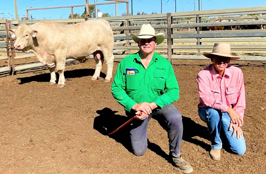 ADAPTABLE GENETICS: Glenlea Beef stud principal Roderick Binny and Elders Winton agent Scott Taylor with the top priced bull at the stud's Winton sale in 2021. The stud holds three bull sales in Queensland each year.
