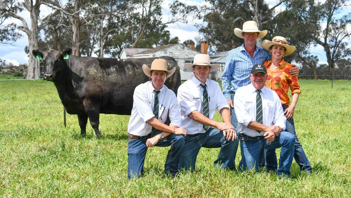 RECORD BREAKING COW: An eight-year-old Ben Nevis female, Ben Nevis Jean H215, set a new mature cow breed record of $82,000 in October last year. Pictured with the $82,000 top price female are Stuart Hobbs, auctioneer Paul Dooley, beside agent Miles Archdale of Nutrien Boulton's Walcha and vendors Erica and Stu Halliday, Ben Nevis Angus, Walcha. 