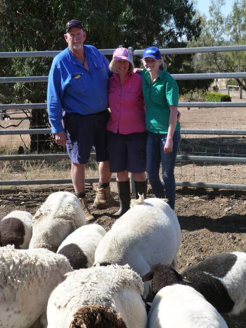 Charlie, Susan and Caitlyn Uebergang with some of their Dorper sheep.