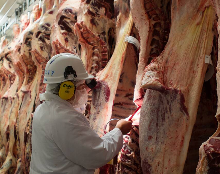 Carcases being inspected at Oakey.