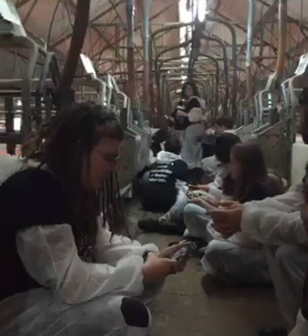 Images taken from inside the farrowing shed at Glasshouse Country Farms where 68 vegan activists staged a protest but raised alarm bells about biosecurity breaches.