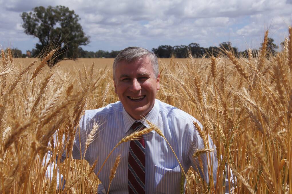 Small Business Minister and NSW Nationals Riverina MP Michael McCormack