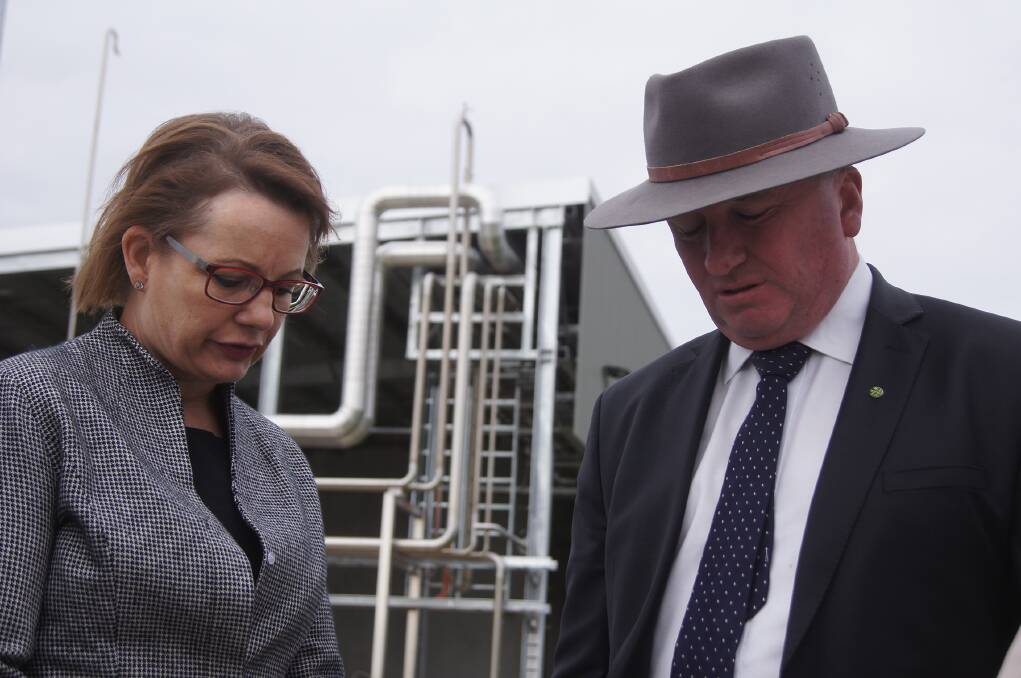 NSW Liberal MP for Farrer Sussan Ley and Nationals leader Barnaby Joyce.