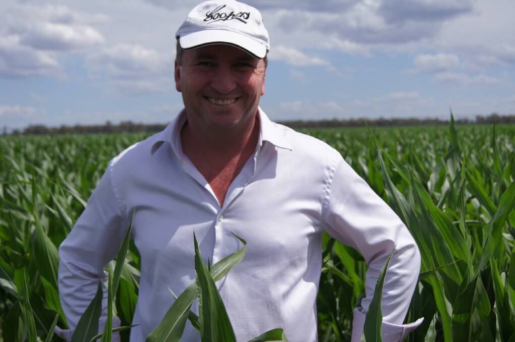 New England MP Barnaby Joyce has backed the Regional Investment Corporation's establishment to remove red tape from drought support loans for farmers.