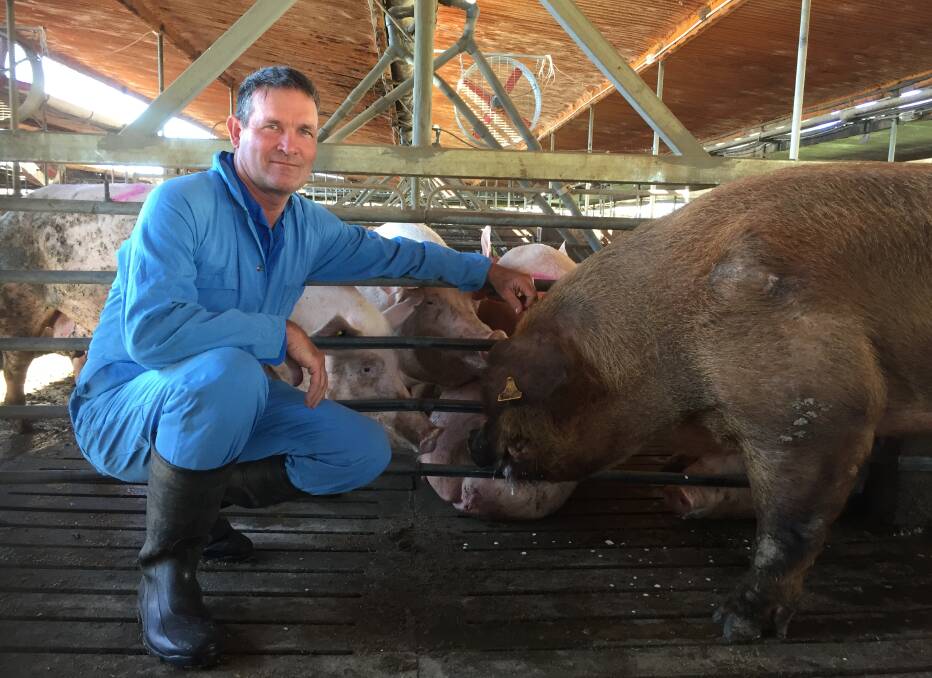 Glasshouse Country Farms owner Gary McGuire is looking to boost security after being repeatedly targeted by animal rights activists.