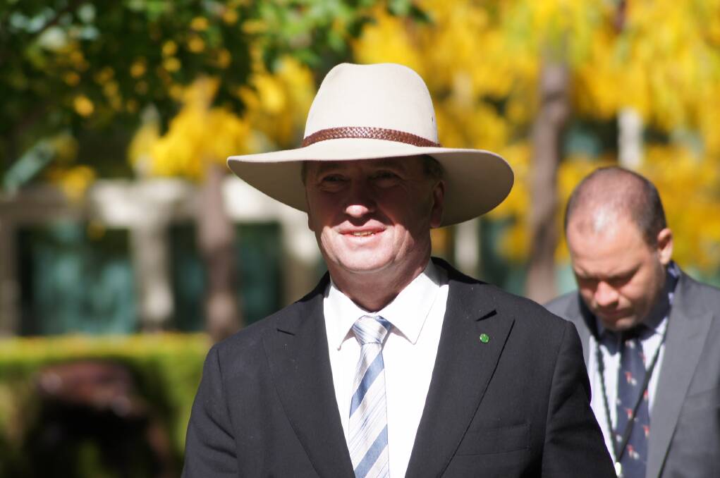 Nationals leader Barnaby Joyce has left David Littleproud in charge of overseeing the Regional Investment Corporation's implementation by July 1.