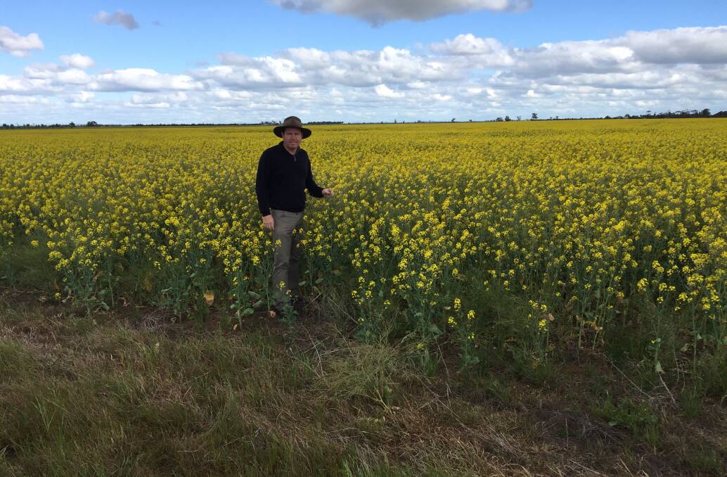 Mallee MP Andrew Broad in a canola crop today out in his electorate.