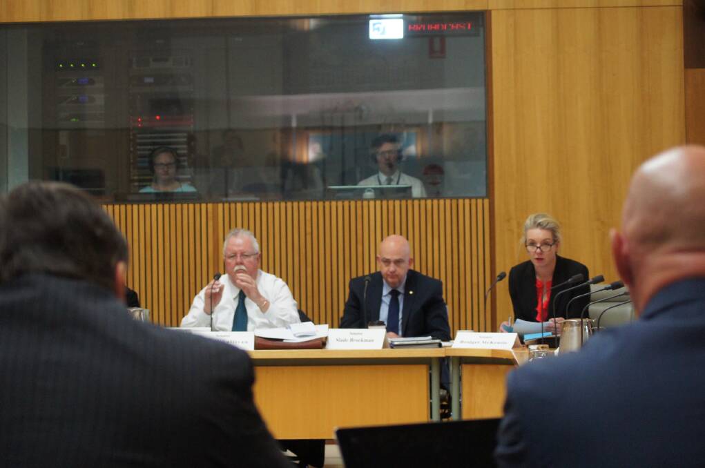 Federal Senators focus in on AWI executives during yesterday's hearing in Canberra.