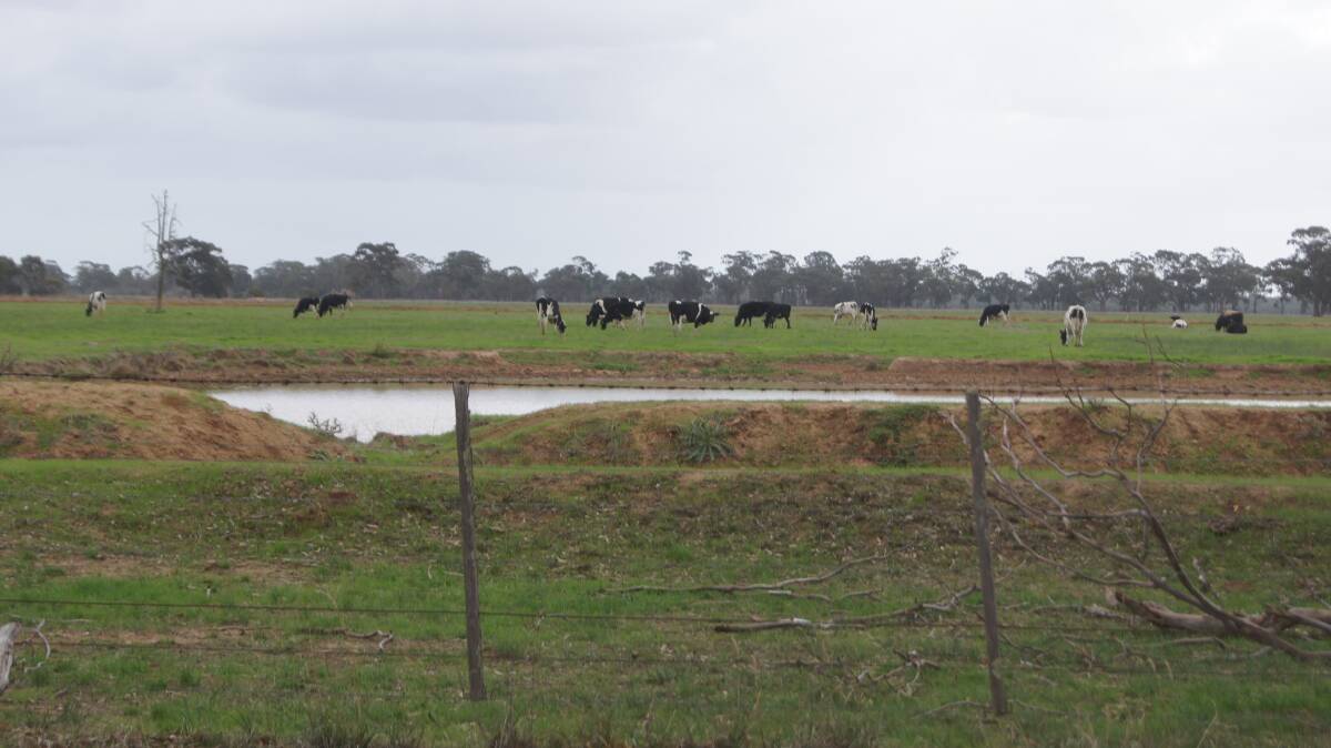 Treasurer reveals “tough new rules” on foreign farmland sales