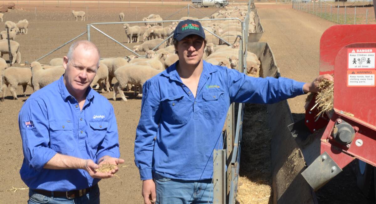 ProAgni (Aust) Pty Ltd's Lachlan Campbell checks feed as it is delivered to trial lambs with Kieran Simpson at Binginbar feedlot, Gollan.