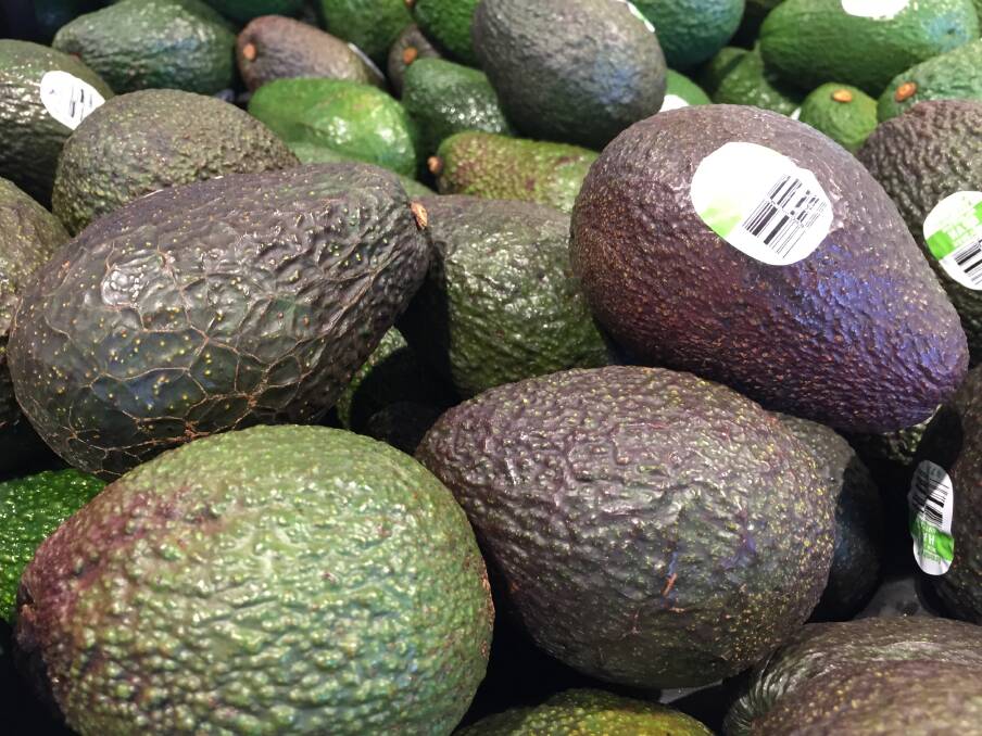 The avocado industry is experiencing something of a glut. Picture by Ashley Walmsley