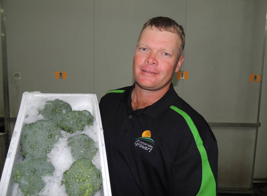 TAKE OFF: Lockyer Valley Growers chairman, Michael Sippel, with broccoli destined for South Korea. The first shipment successfully landed last week.  