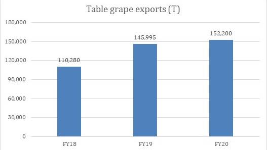 Table grape exports head northward