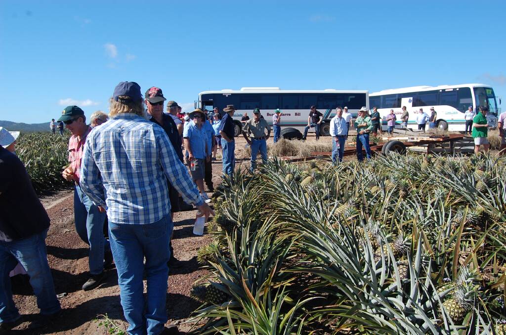 FIELD STOP: Delegates at the 2016 Pineapple Field Days on the Brooks family's farm on the second day of the field days. 