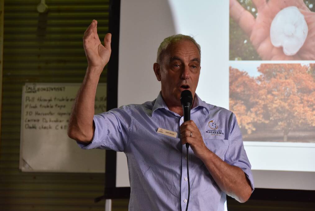 DRY: Australian Macadamia Society CEO, Jolyon Burnett, says the 2020 crop forecast is significantly down due to dry growing conditions last year. 