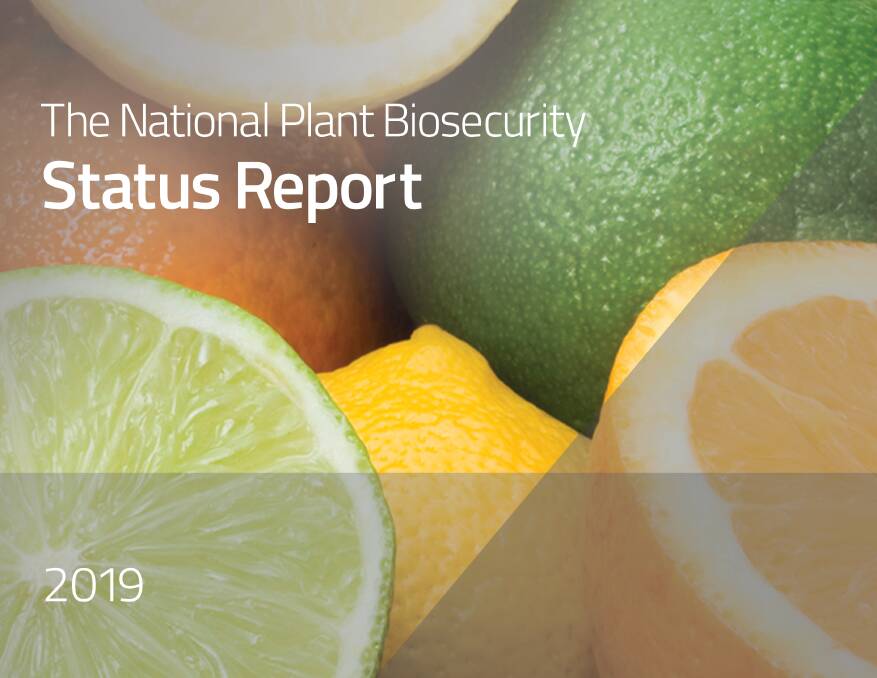 REPORT: The National Plant Biosecurity Status Report for 2019 is now available. Photo: Plant Health Australia