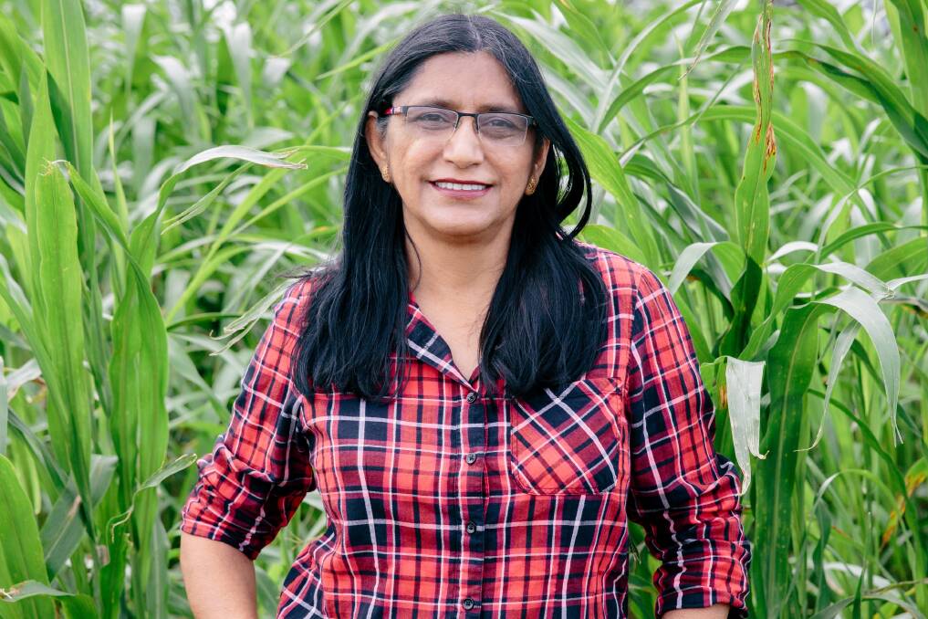 CENTRE LEAD: The just-announced Centre for Horticultural Science will be led by agricultural biotechnologist Professor Neena Mitter who says she aims to double the $37 million worth of contracted research work currently undertaken by QAAFI’s horticultural scientists over five years.