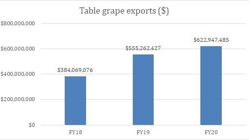 Table grape exports head northward