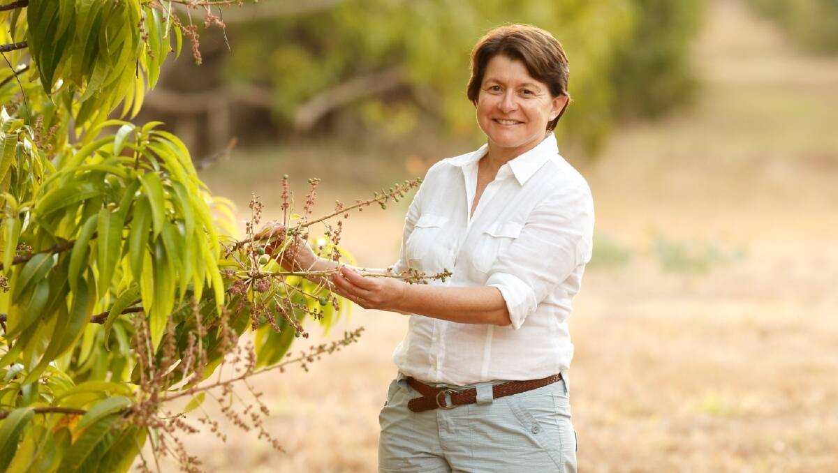 AG LEADER: Manbulloo Ltd managing director, Marie Piccone, was named in this year's Businesswomen’s Hall of Fame honours list.