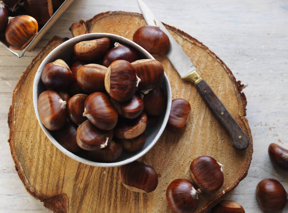 AVAILABLE: Australian chestnuts are now in season even though many growing areas were hard hit by bushfires over summer. 
