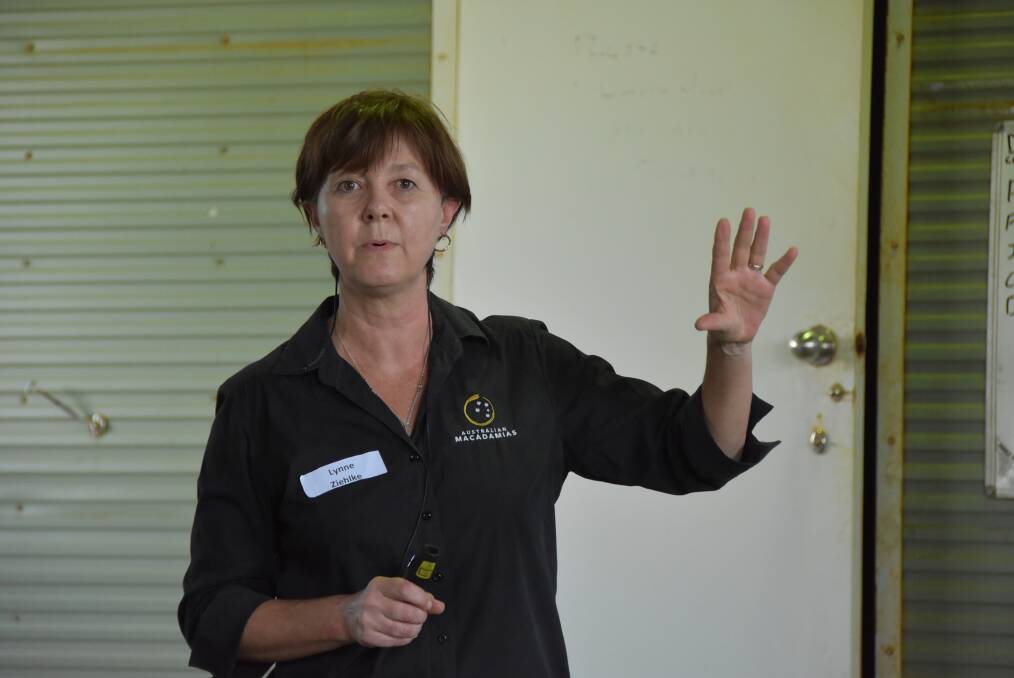 HEALTHY: Australian Macadamia Society marketing general manager, Lynne Ziehlke, says there is still strong demand for macadami nuts. 