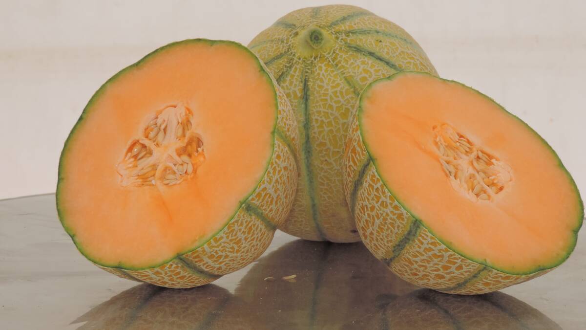 MARKET ACCESS: Quick action following concerns about dimethoate treatments has seen Australian melons allowed back into New Zealand.