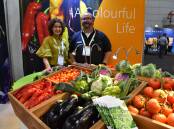Part of the Rijk Zwaan team at Hort Connections 2022, Frances Tolson, Victoria and James Bertram, Victoria, with a brilliant display of vegetable varieties from the company. 
